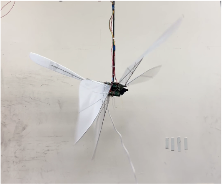 Robotic Systems